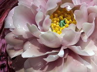 新聞｜我公司當(dāng)選河南省人民對(duì)外友好協(xié)會(huì)理事單位，創(chuàng)始人李治國(guó)當(dāng)選理事并接受河南日?qǐng)?bào)與河南衛(wèi)視的采訪(fǎng)。